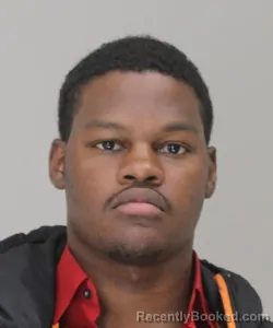 Mugshot of HAISHEEM FRACTION booked in Dallas County, Texas on March 19, 2026