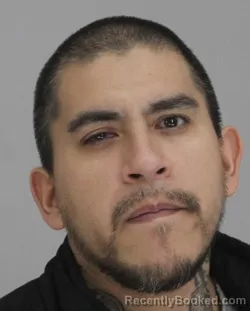 Mugshot of TERRY GONZALEZ booked in Dallas County, Texas on March 19, 2026