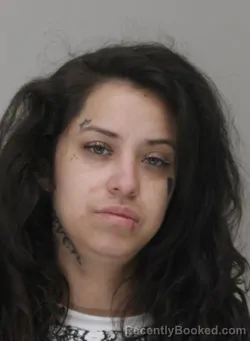 Mugshot of ANGELICA MOTA booked in Dallas County, Texas on March 19, 2026