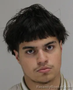 Mugshot of JAXSON HEFFERNAN booked in Dallas County, Texas on March 20, 2026