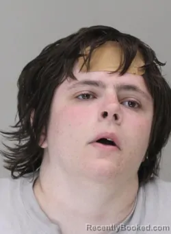 Mugshot of ASHLEY SPRINGER booked in Dallas County, Texas on March 20, 2026