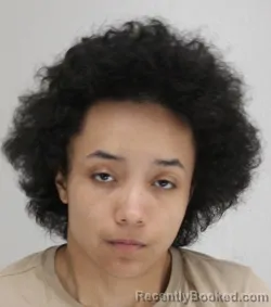 Mugshot of TASHEALA WORKCUFF booked in Dallas County, Texas on March 20, 2026