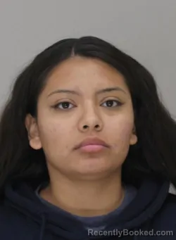 Mugshot of MARVEYA SALINAS-GAMEZ booked in Dallas County, Texas on March 20, 2026