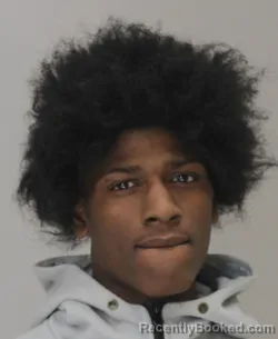 Mugshot of STACY EVANS booked in Dallas County, Texas on March 20, 2026