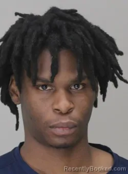 Mugshot of DAMOREA JENKINS booked in Dallas County, Texas on March 20, 2026