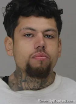 Mugshot of AUSTIN RODRIGUEZ booked in Dallas County, Texas on March 20, 2026