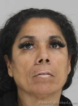 Mugshot of DIANE CALVILLO booked in Dallas County, Texas on March 21, 2026