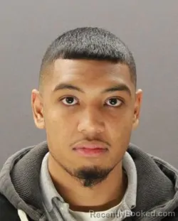 Mugshot of THO THACH booked in Dallas County, Texas on March 21, 2026