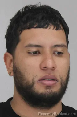 Mugshot of JOSE PINA booked in Dallas County, Texas on March 22, 2026