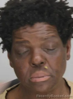 Mugshot of STACIE SETTLES booked in Dallas County, Texas on March 22, 2026