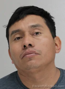 Mugshot of LUIS SOSASARAT booked in Dallas County, Texas on March 22, 2026