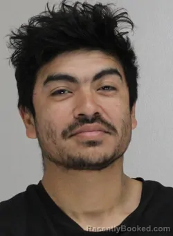 Mugshot of RENE CATALAN
