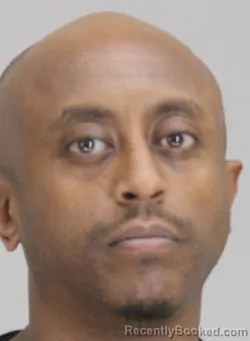 Mugshot of GELEAD MENGESHA