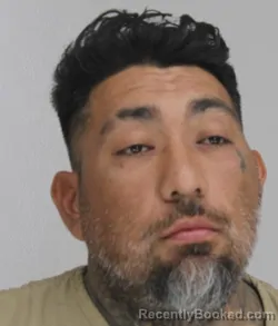 Mugshot of FREDY SALINAS