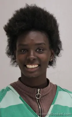 Mugshot of KAMYRIA WILLIAMS