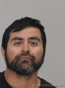 Mugshot of CARLOS SALASTOVAR