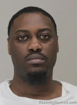 Mugshot of BRIAN JR NELSON