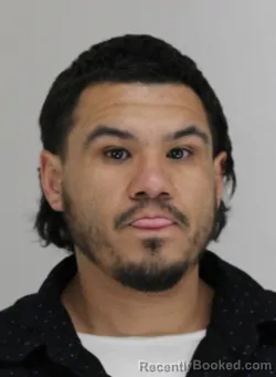 Mugshot of JOSE CASTRO