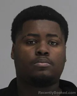 Mugshot of RAY BURDINE