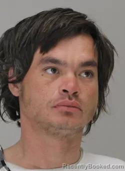 Mugshot of WILLARD HARRIS