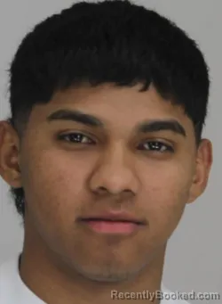 Mugshot of JESUS PADILLA