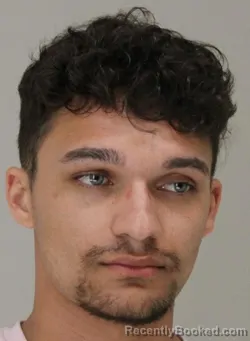 Mugshot of JOSEPH WHITESIDE