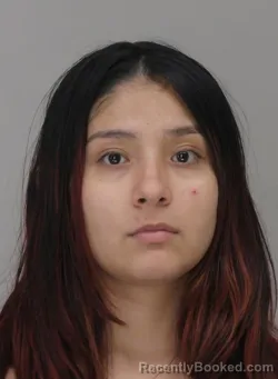 Mugshot of CHALEE SANCHEZ
