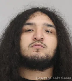 Mugshot of DAVID CISNEROSMALDONADO