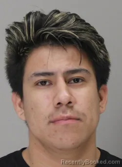 Mugshot of JAIRO COLAY