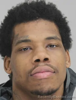 Mugshot of REGINALD STEPHENS