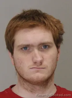 Mugshot of BRANDON ALLEMAN