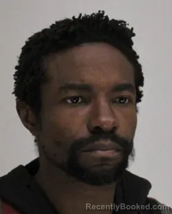 Mugshot of RANDI WEBB