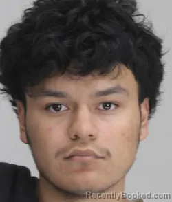 Mugshot of ANDREW ALANIZ