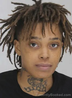 Mugshot of MCKEELER LANIEUX