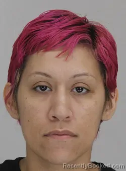 Mugshot of DESSEREY MORALES