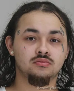 Mugshot of ANTHONY SALAZAR