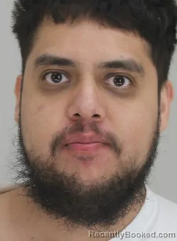 Mugshot of DIEGO LOZANO LOZANO