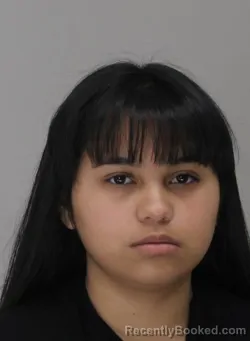 Mugshot of SANDRA ROJAS ROMERO