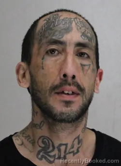 Mugshot of FELIPE VELEZ