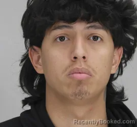 Mugshot of IVAN RANGLEPENA