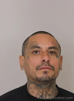 Mugshot of ACASIO ZUNIGA