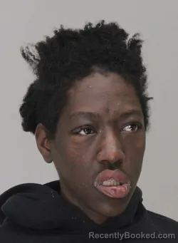 Mugshot of SHANEA YOUMAN