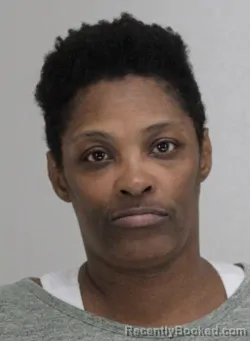 Mugshot of JANET BLEDSOE