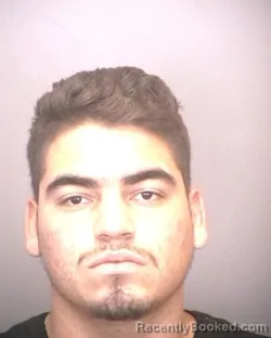 Mugshot of LUIS ARIAS