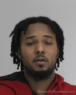 Mugshot of JYDESMONIQUE GARDNER