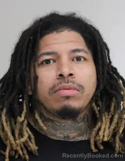 Mugshot of JOE MILLS