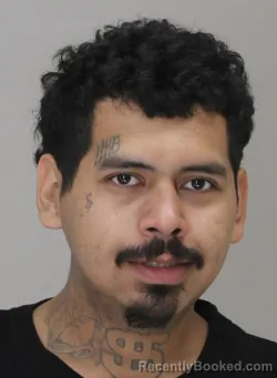 Mugshot of DAVID LOPEZ