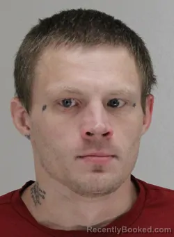 Mugshot of NICOLAI TOLL