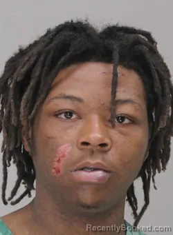 Mugshot of JAYLEN MINER