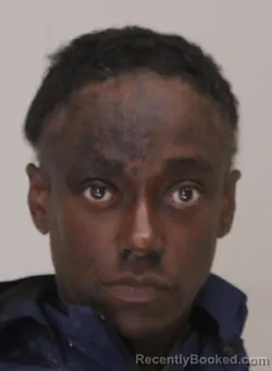 Mugshot of TIFFANEY SMITH